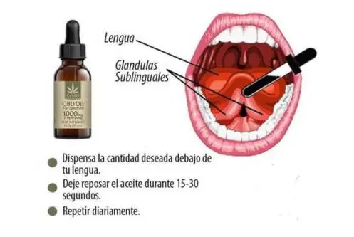 CÓMO TOMAR ACEITE DE CBD